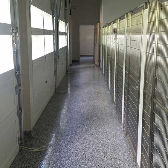 A 10,400 square foot heated and cooled facility equipped with outdoor runs and a 1500 square foot Pavilion. A nice comfortable place for cats, dogs, and other animals while waiting for their forever homes.