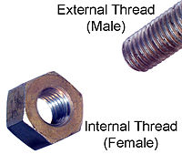 male and female threads